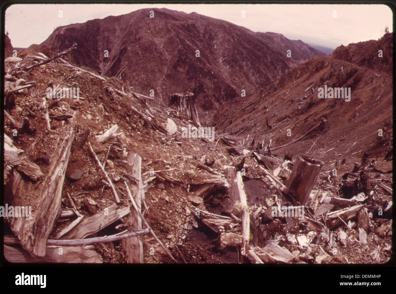 Satsop hires stock photography and images Alamy