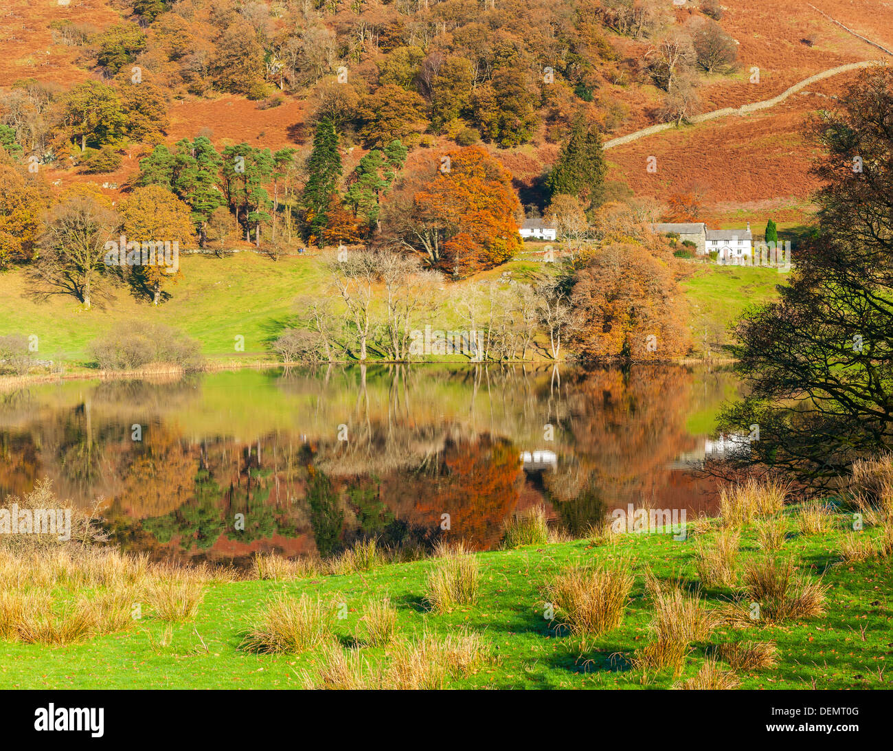 loughrigg tarn and fell,sunny autumn day, lake district, cumbria, england, uk, europe Stock Photo