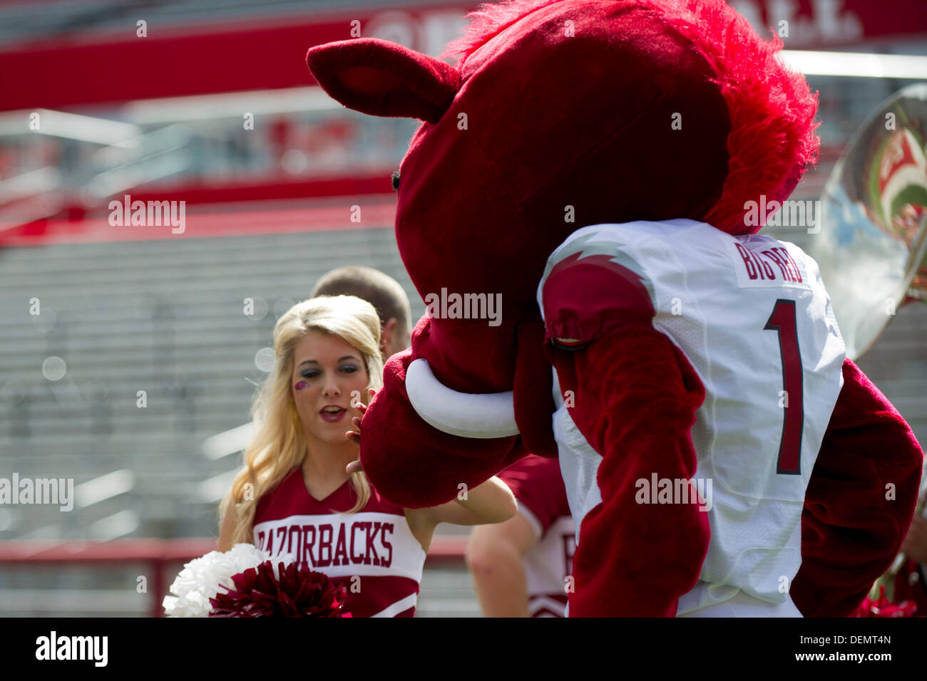 Sept. 21, 2013 - Piscataway, New Jersey, U.S - September 21, 2013: A Arkansas Razorbacks cheerleader pets the nose of the mascot prior to the game between Arkansas Razorbacks and Rutgers Scarlet Knights at Highpoint Solutions Stadium in Piscataway, NJ. Stock Photo