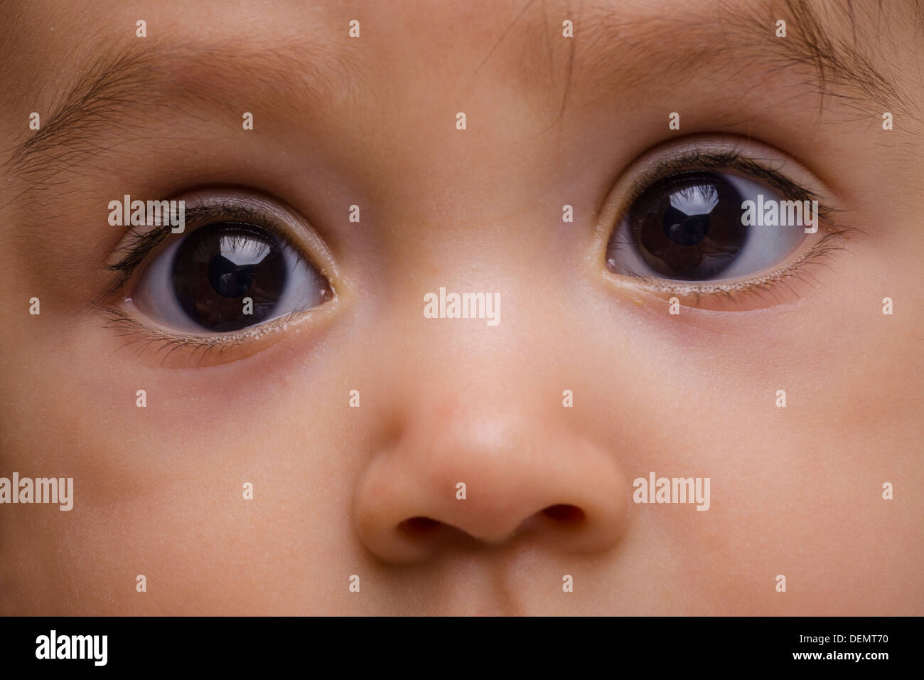 Baby brown eyes and nose Stock Photo Alamy