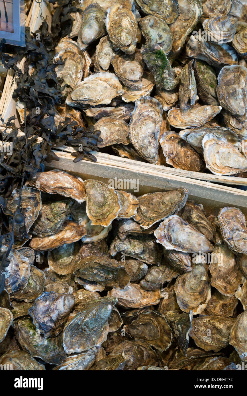 Oysters on sale, La Bastille Thursday market, Paris, France Stock Photo