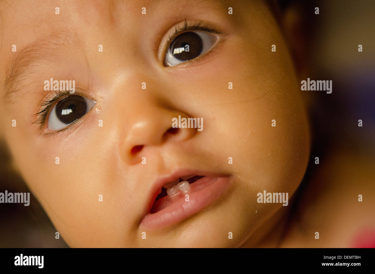 Baby teething Stock Photo