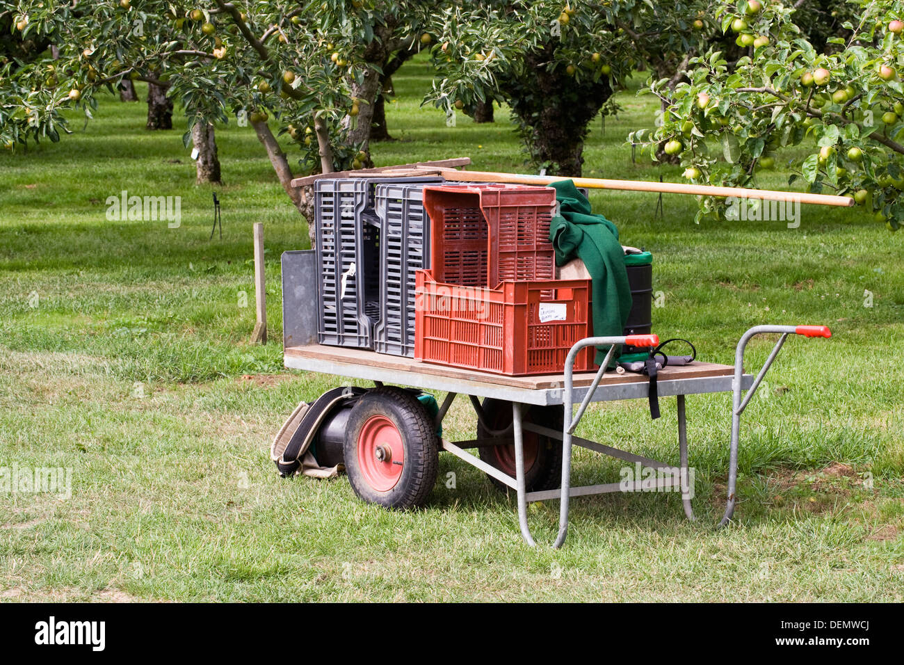 Apple picking equipment in the orchards at RHS Wisley. Stock Photo