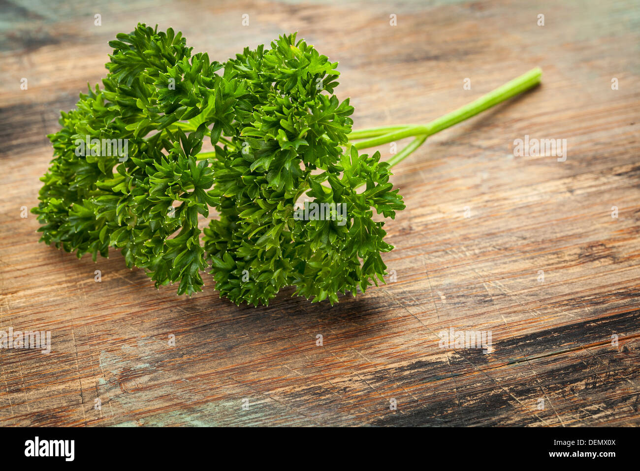 a fresh leaves of curled leaf parsley on wood surface Stock Photo
