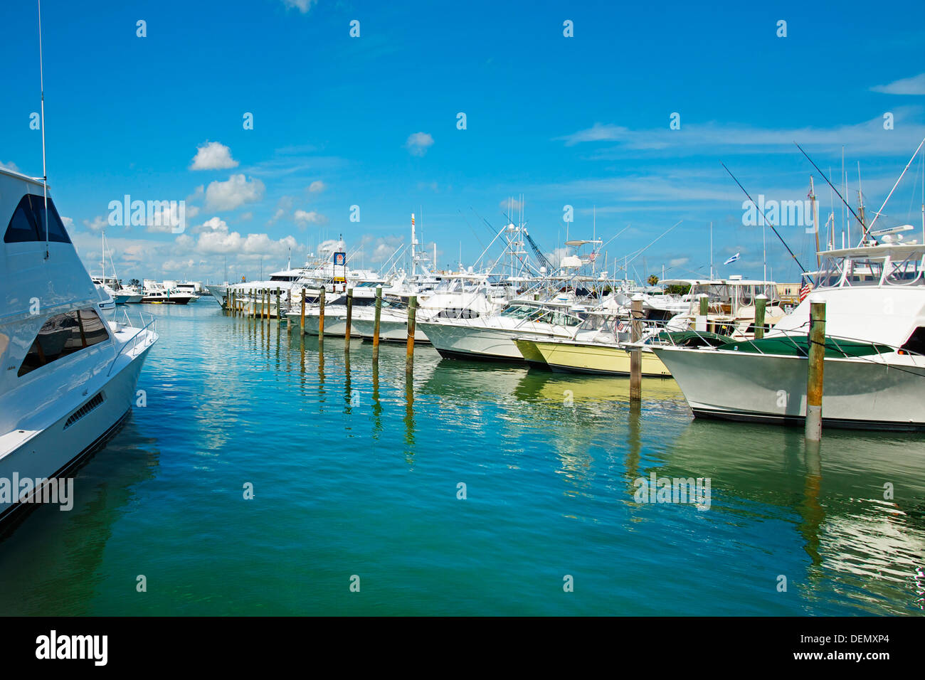 Marina, Key West, Florida Keys Florida, USA Stock Photo Alamy