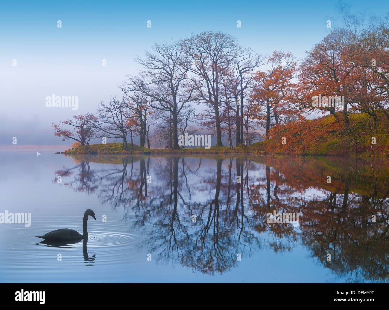 rydal,lake district, cumbria, england, uk, europe Stock Photo