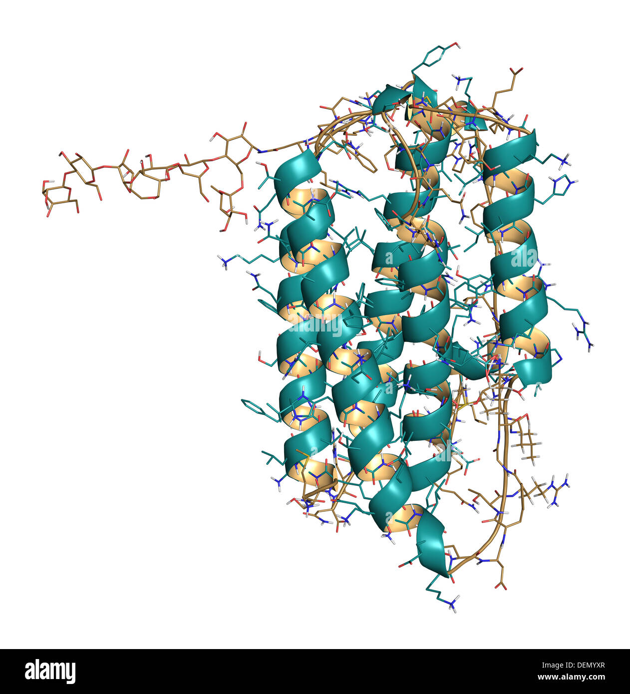 Interferon beta molecule, chemical structure. Cytokine used to treat ...