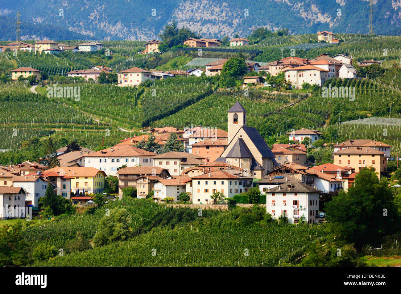 Teleshot of Tassullo town among apple gardens of italian region Trentino Alto Adige South Tyrol Stock Photo