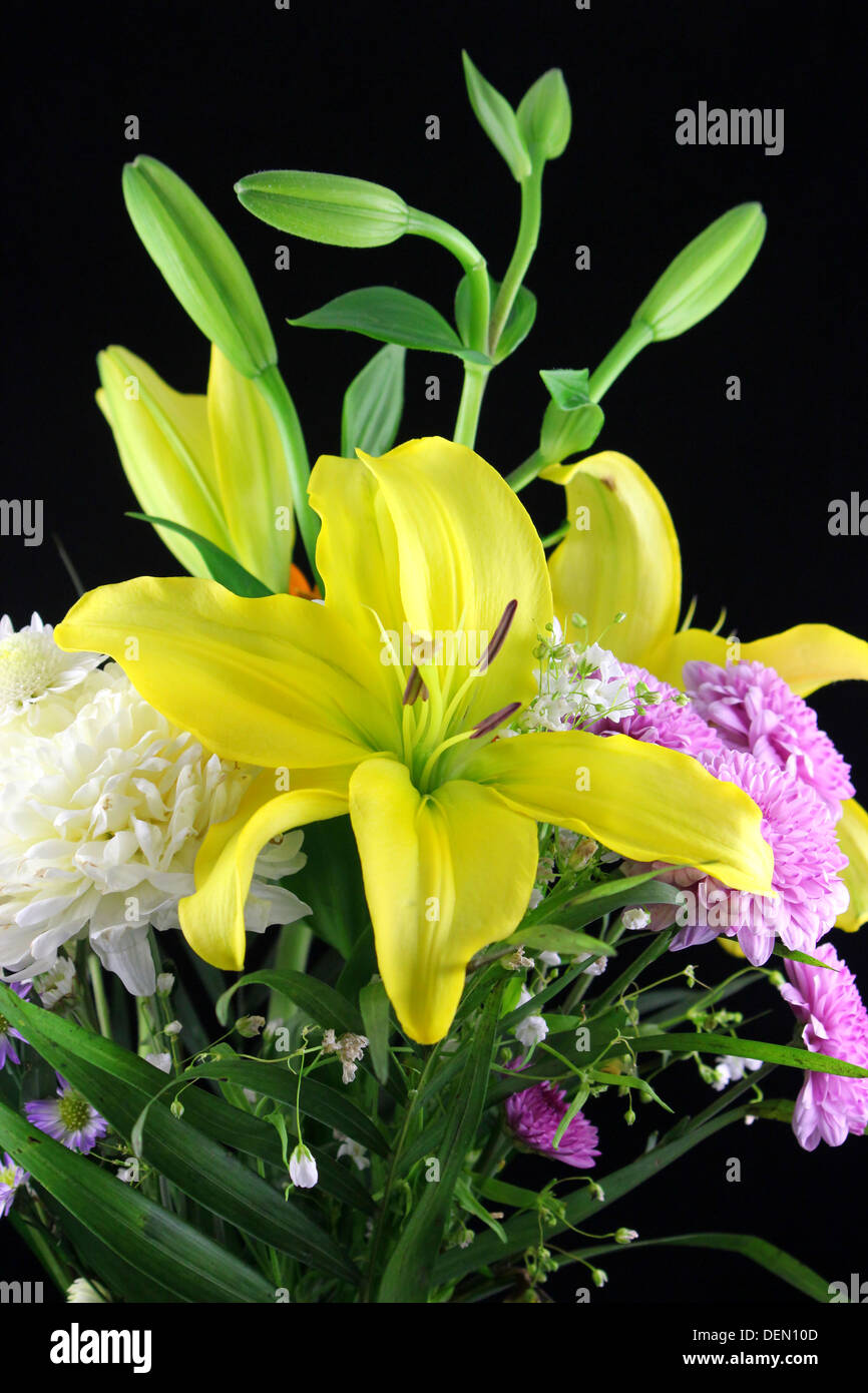 Daisy and lily bouquet hires stock photography and images Alamy