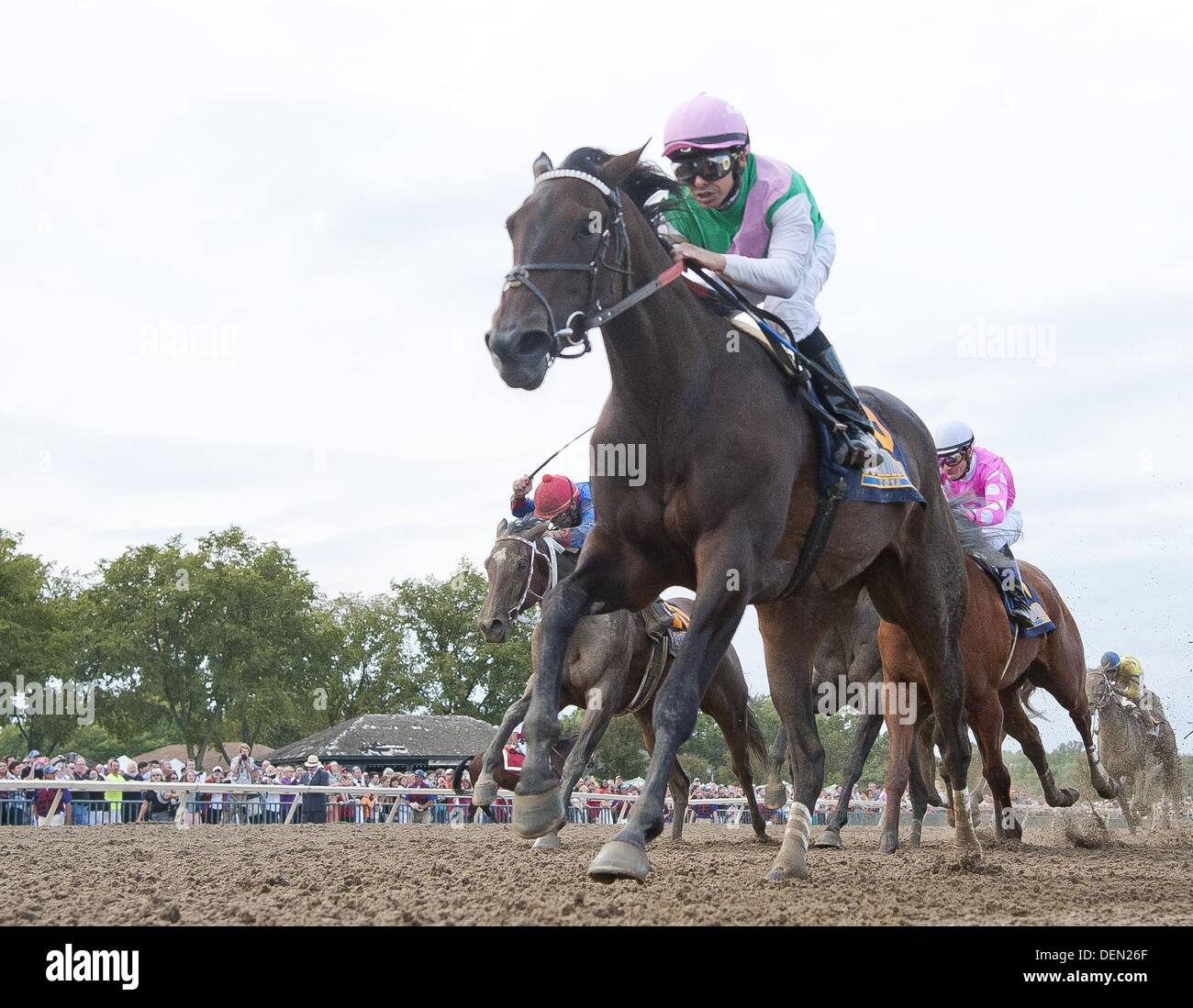 Parx Camel Races Parx racing hi-res stock photography and images - Alamy