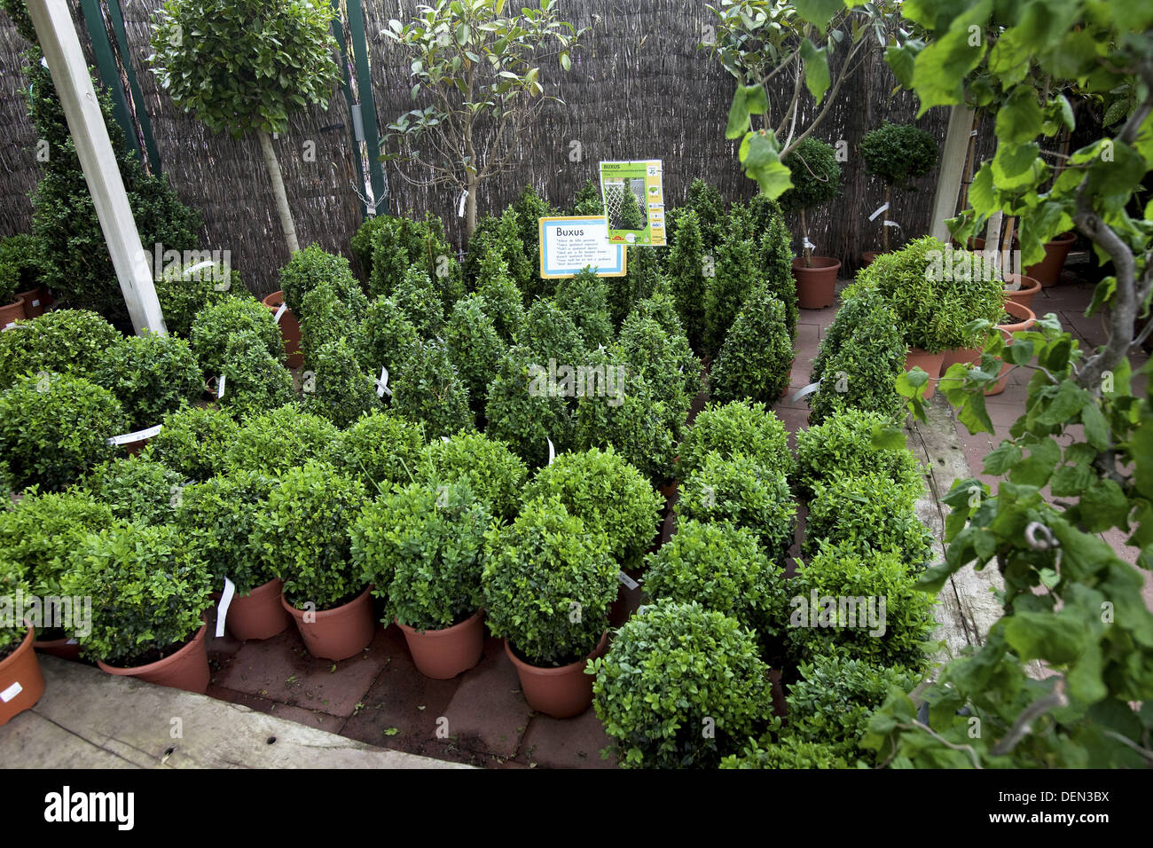 Spain, Mataro, Barcelona province, Garden Center Jardiland ...