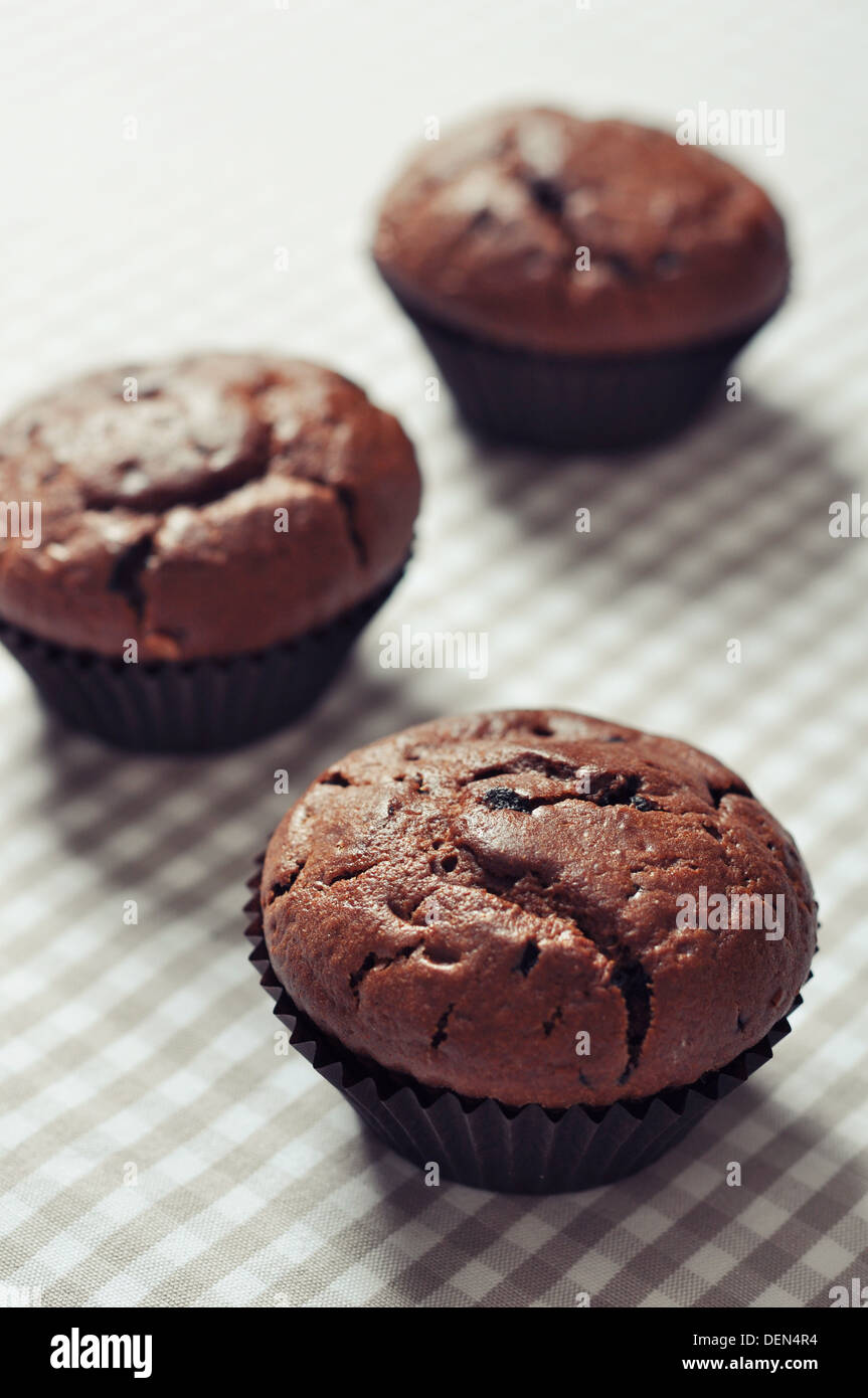 Chocolate Muffins on checkered tablecloth closeup Stock Photo
