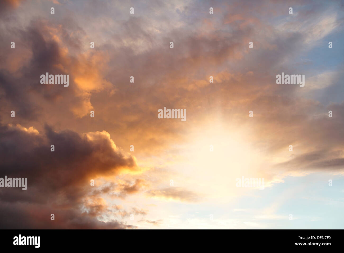 Sun rays in sunset sky Stock Photo