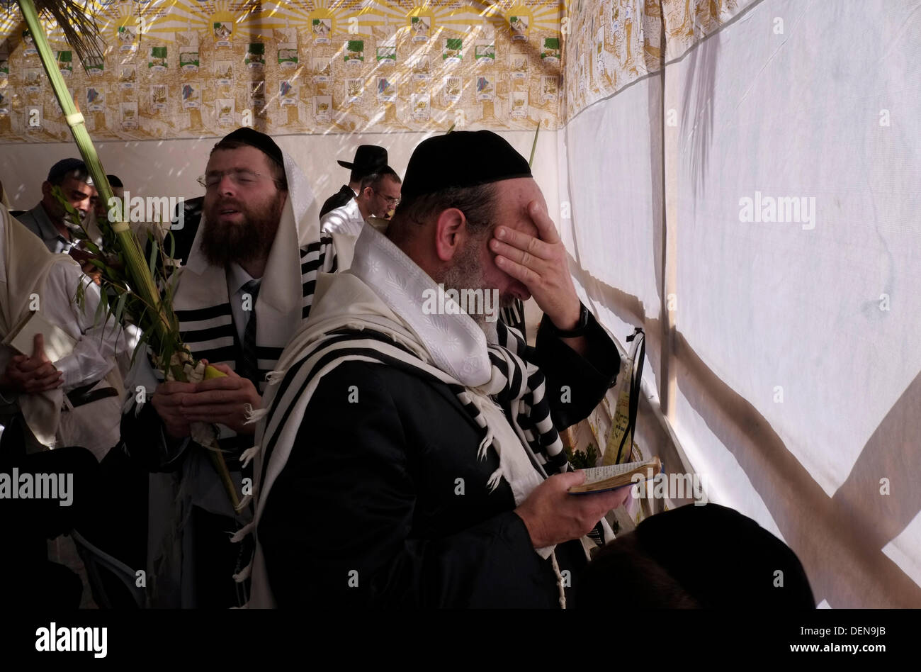Orthodox Jewish worshipers holding ceremonial palm fronds and willows on Sukkot feast inside a traditional Sukkah booth at the Western Wall in East Jerusalem on 22 September 2013. Tens of thousands of worshippers crowded the Kotel (Western Wall) plaza for morning prayers, the fifth day of the festival of Sukkot. The service saw thousands of kohanim - members of the priestly families of Israel - bless the gathered crowd in a show of unity and celebration.  Photographer: Eddie Gerald/Alamy Live News Stock Photo