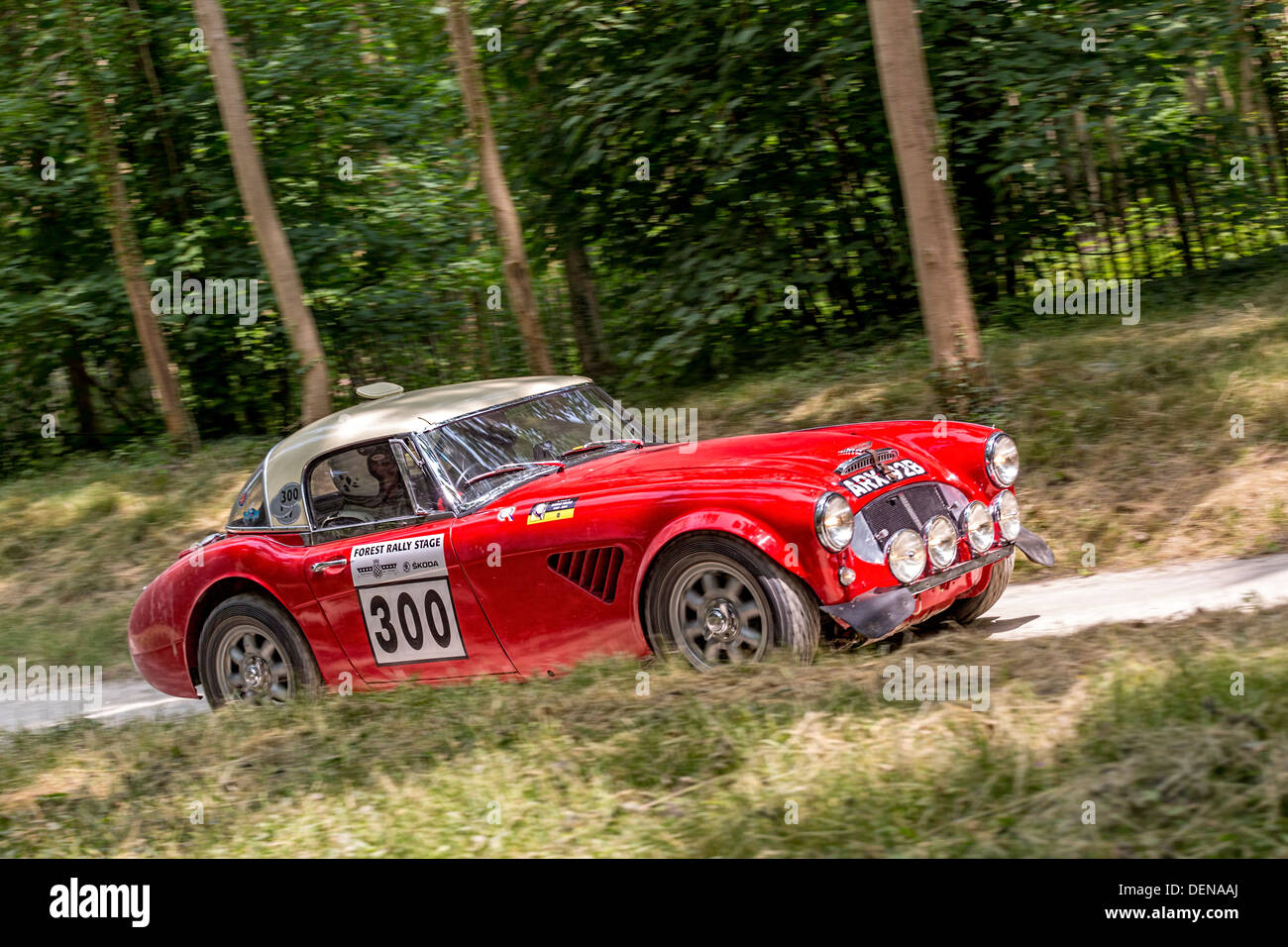 1964 Austin Healey 3000 Mk3 with driver Paul Woolmer, rally stage at the 2013 Goodwood Festival of Speed, Sussex, England, UK. Stock Photo