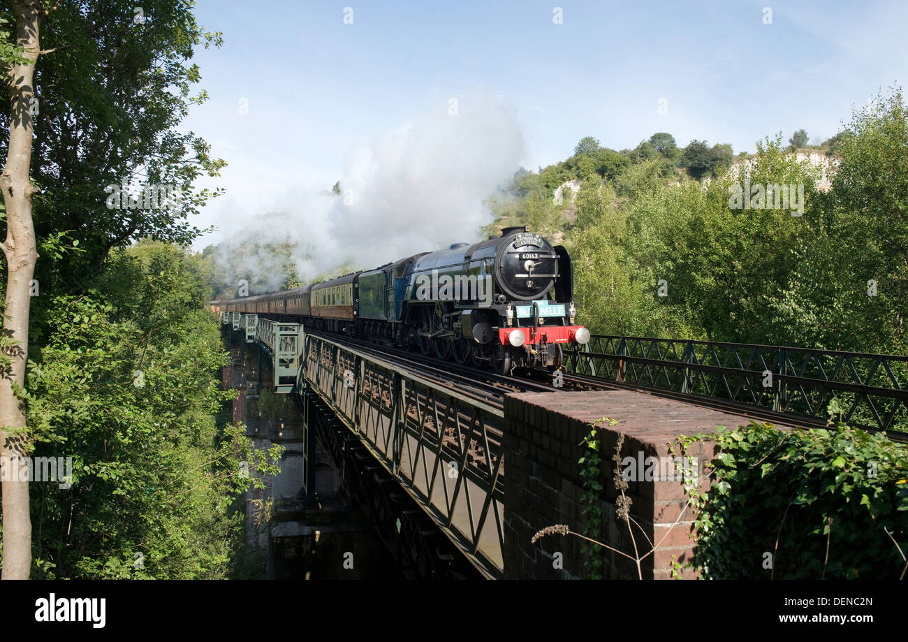 Tornado storms across The Riddlesdown Viaduct bound for The Bluebell Railway -1 Stock Photo