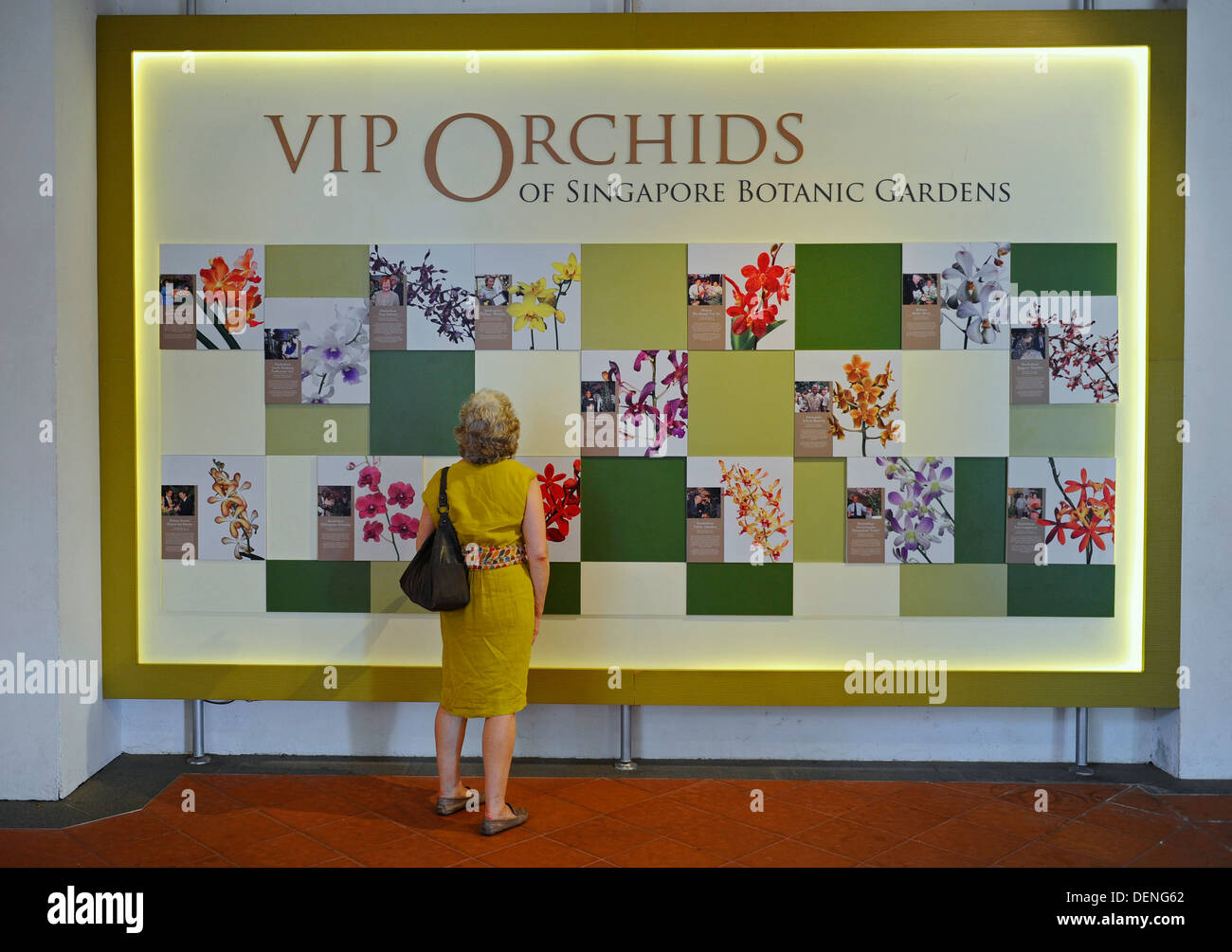 Woman looking at the display board of the Orchids planted by V.I.P.s at the Botanic gardens in Singapore. Stock Photo