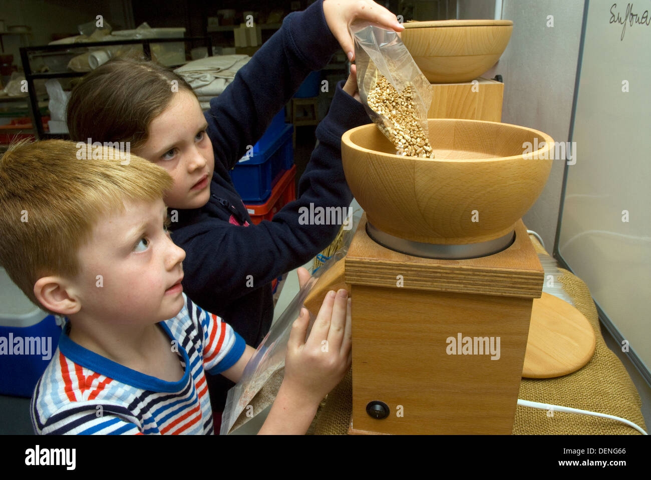 7 year old girl and 5 year old boy milling flour, wheat and barley at a Farms Week Day near Haslemere, Surrey, UK. Stock Photo