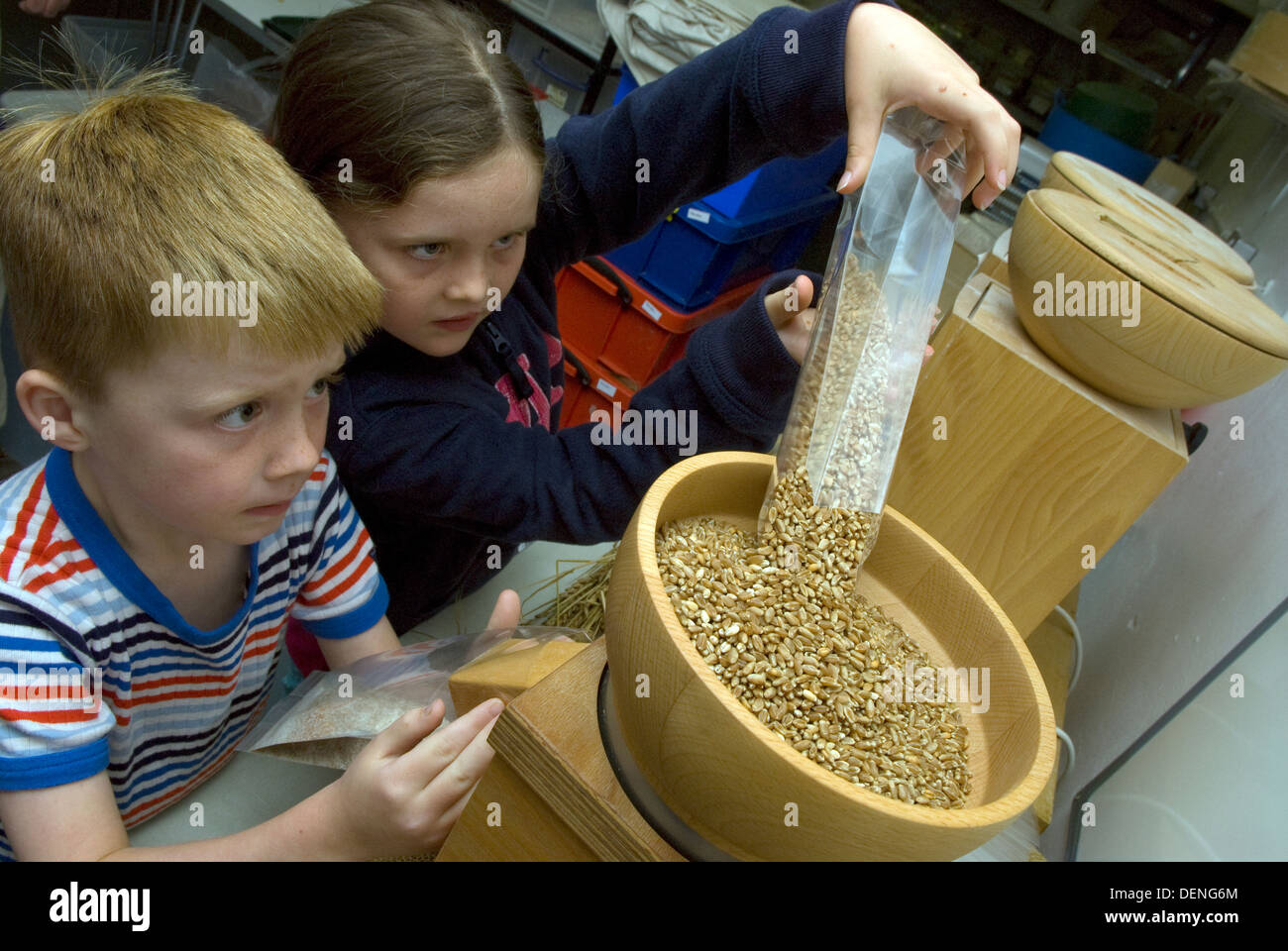 7 year old girl and 5 year old boy milling flour, wheat and barley at a Farms Week Day, near Haslemere, Surrey, UK. Stock Photo