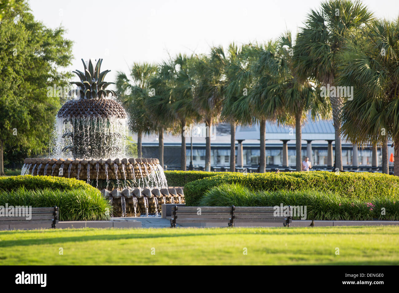 Waterfront park and pineapple fountain in the historic district of