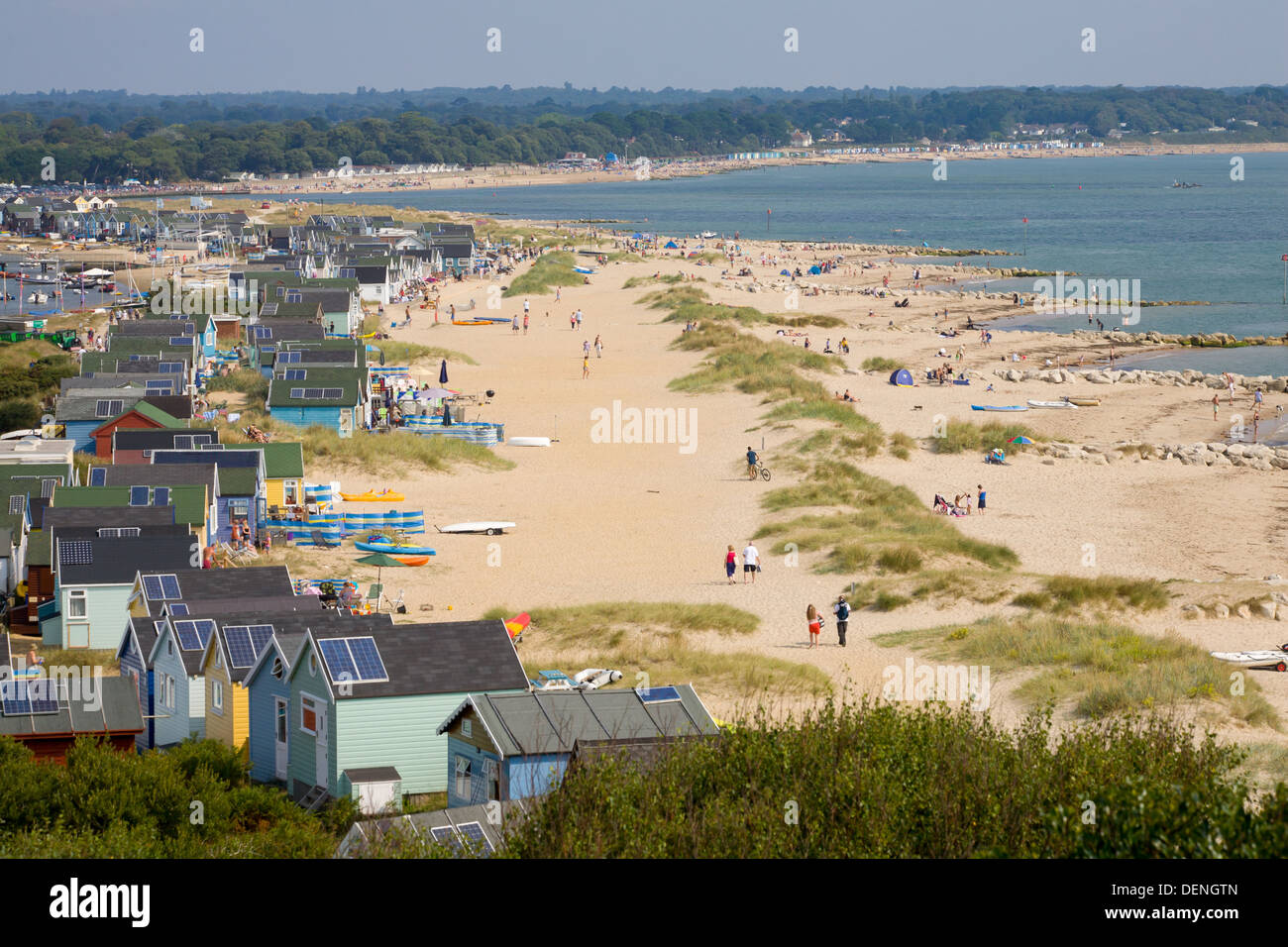 Is Hengistbury Head Beach Dog Friendly