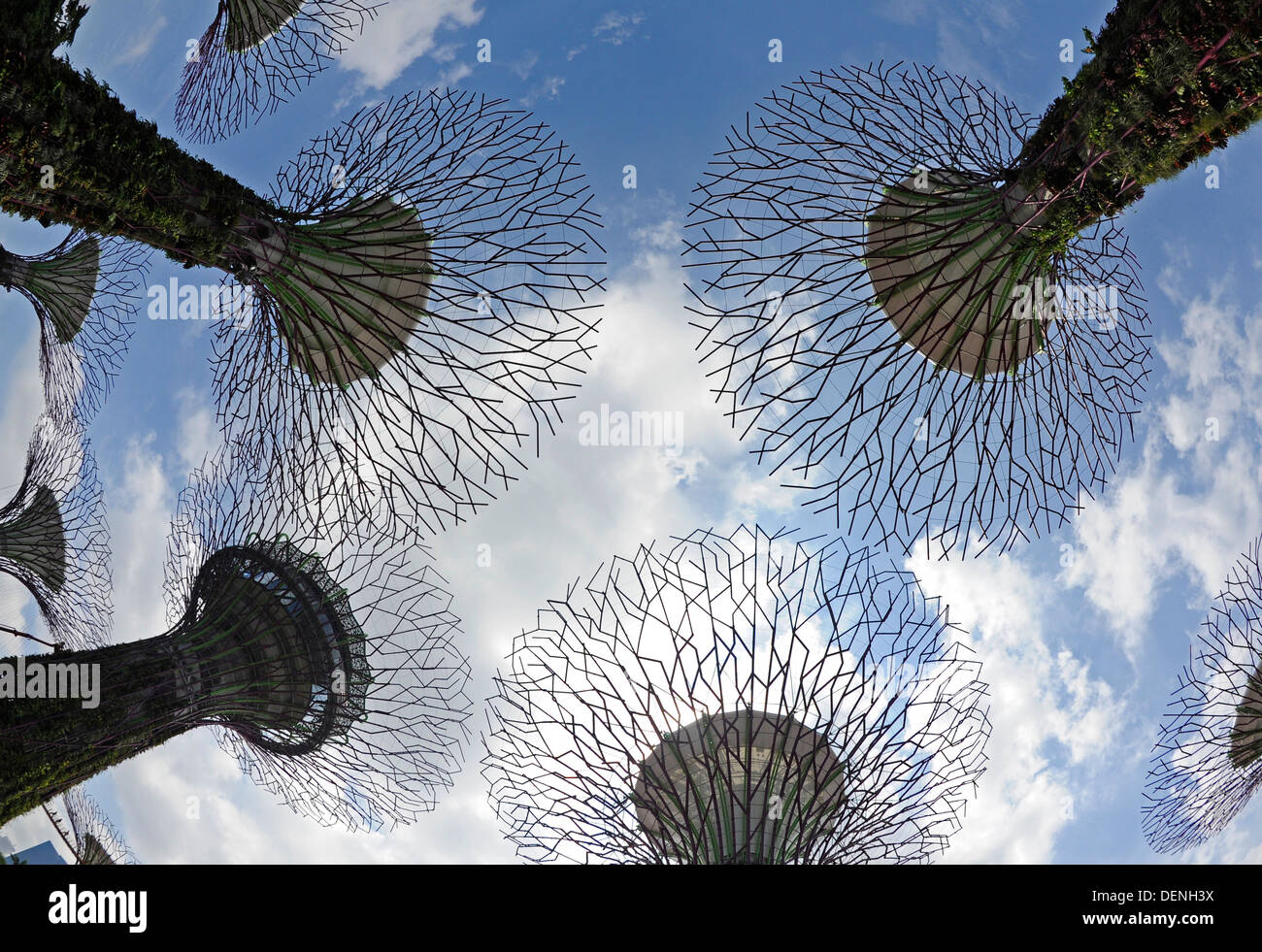 Steel and concrete tree like structures form the Supertree Grove, at the Gardens by the Bay in Singapore. Stock Photo