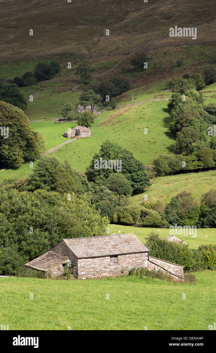 Sunlight over stone barns in Deepdale near Dent, Yorkshire Dales National Park, North Yorkshire, England, UK Stock Photo