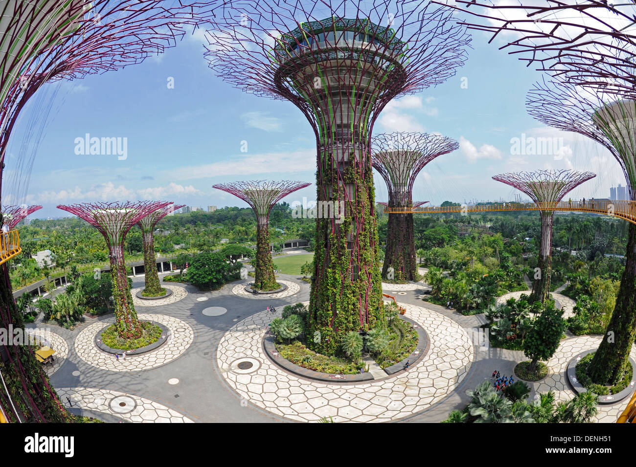 Steel and concrete tree like structures form the Supertree Grove, at