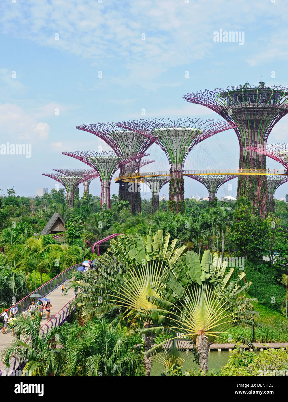 Steel and concrete tree like structures form the Supertree Grove, at the Gardens by the Bay in Singapore. Stock Photo