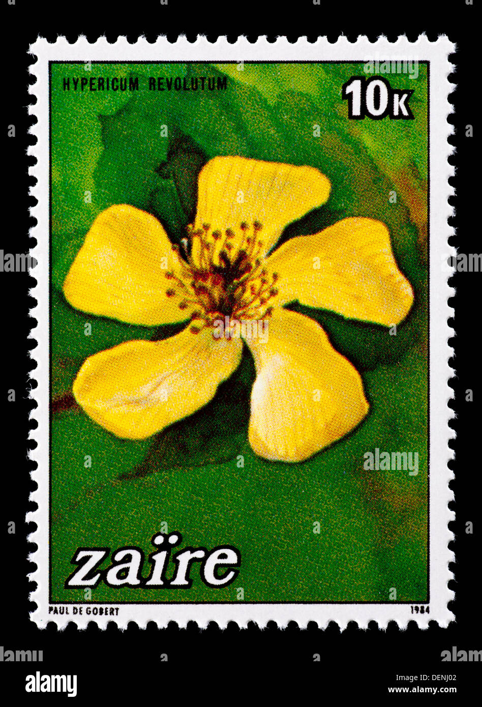 Postage stamp from Zaire depicting depicting the flower of the curry bush (Hypericum revolutum) Stock Photo