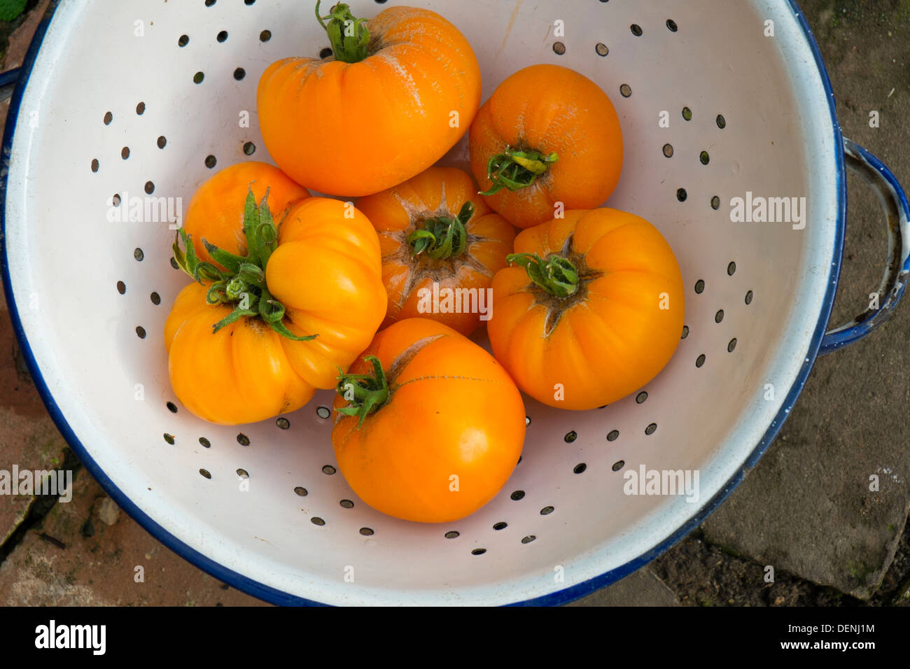 Heritage tomatoes, 'summer cider', ripe fruits ready for the kitchen. Stock Photo