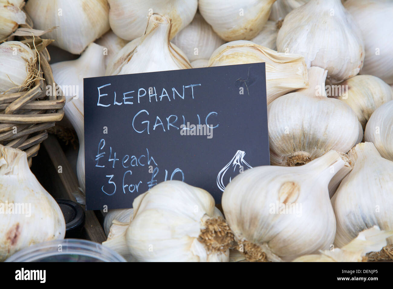 Elephant garlic at Abergavenny Food Festival Stock Photo