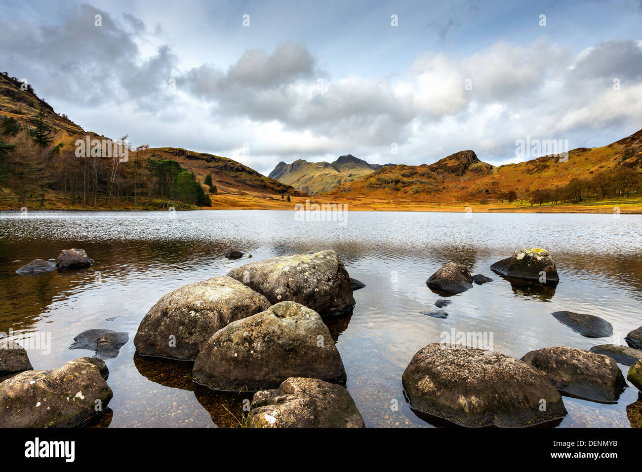 tarn hows,lake district; cumbria; england; uk; europe; Stock Photo