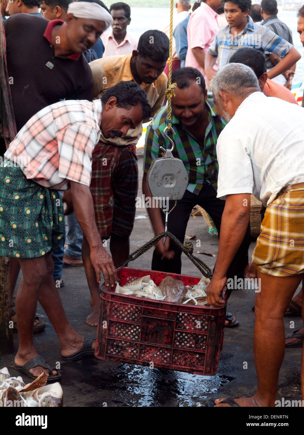 Fishermen weighing fish for market Stock Photo