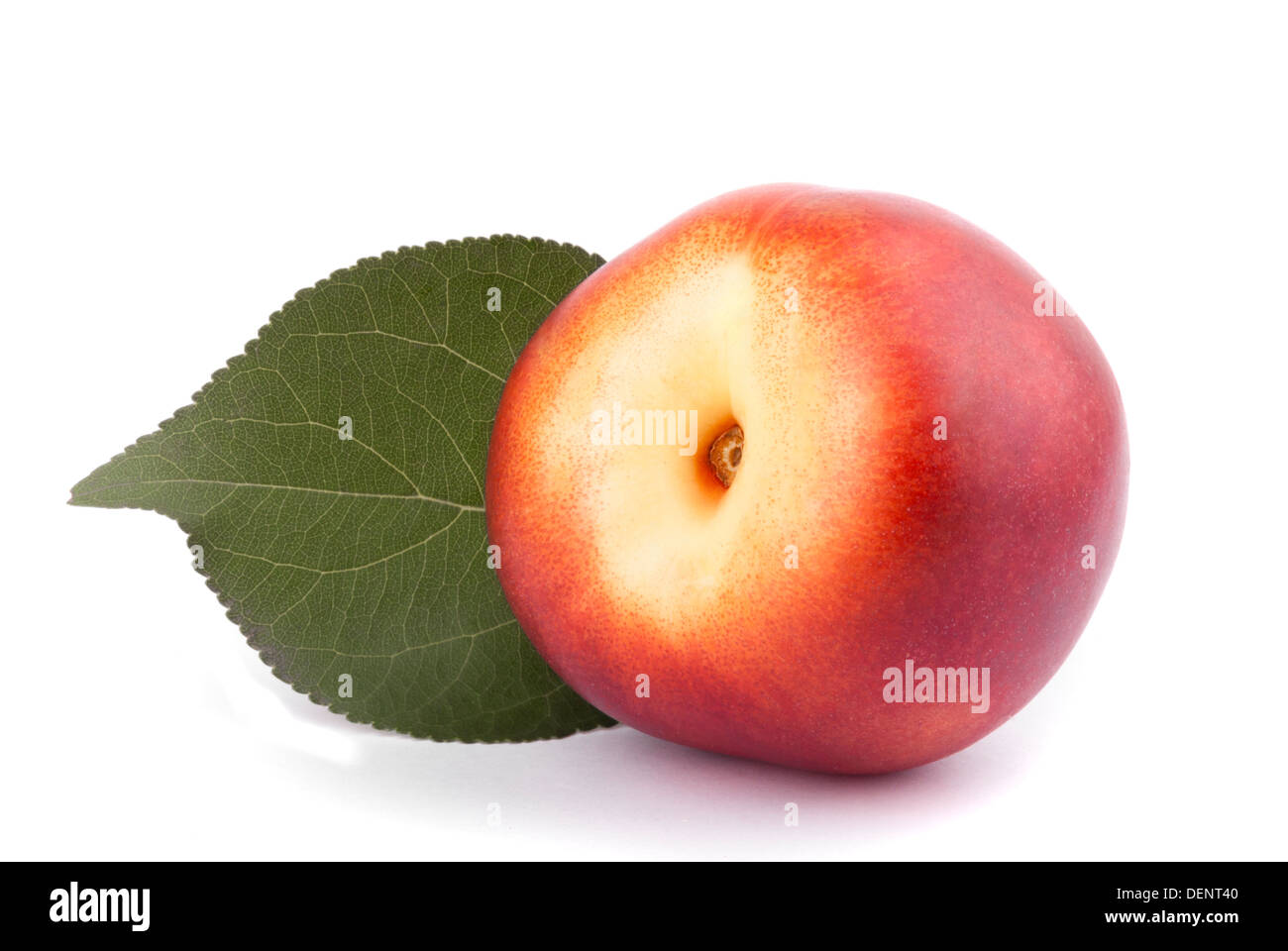 Nectarine with green leaf on a white background Stock Photo Alamy