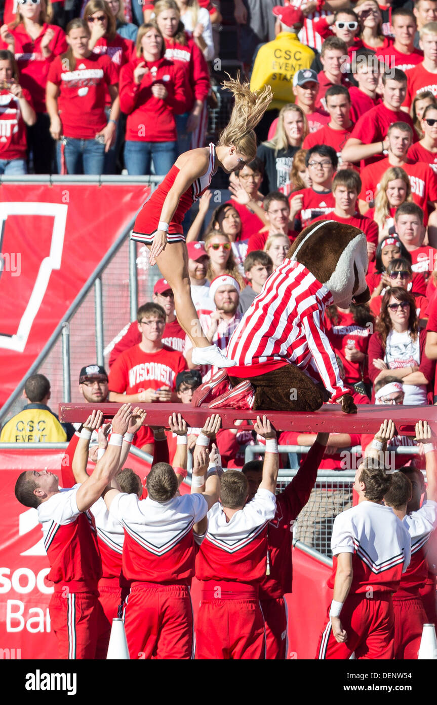 Madison, Wisconsin, USA. 21st Sep, 2013. September 21, 2013: A Wisconsin Badgers cheerleader is flipped into the air as Bucky Badger completes his push ups after a Wisconsin touchdown during the NCAA Football game between the Purdue Boilermakers and the Wisconsin Badgers at Camp Randall Stadium in Madison, WI. Wisconsin defeated Purdue 41-10 in the Big Ten opener for both teams. John Fisher/CSM/Alamy Live News Stock Photo