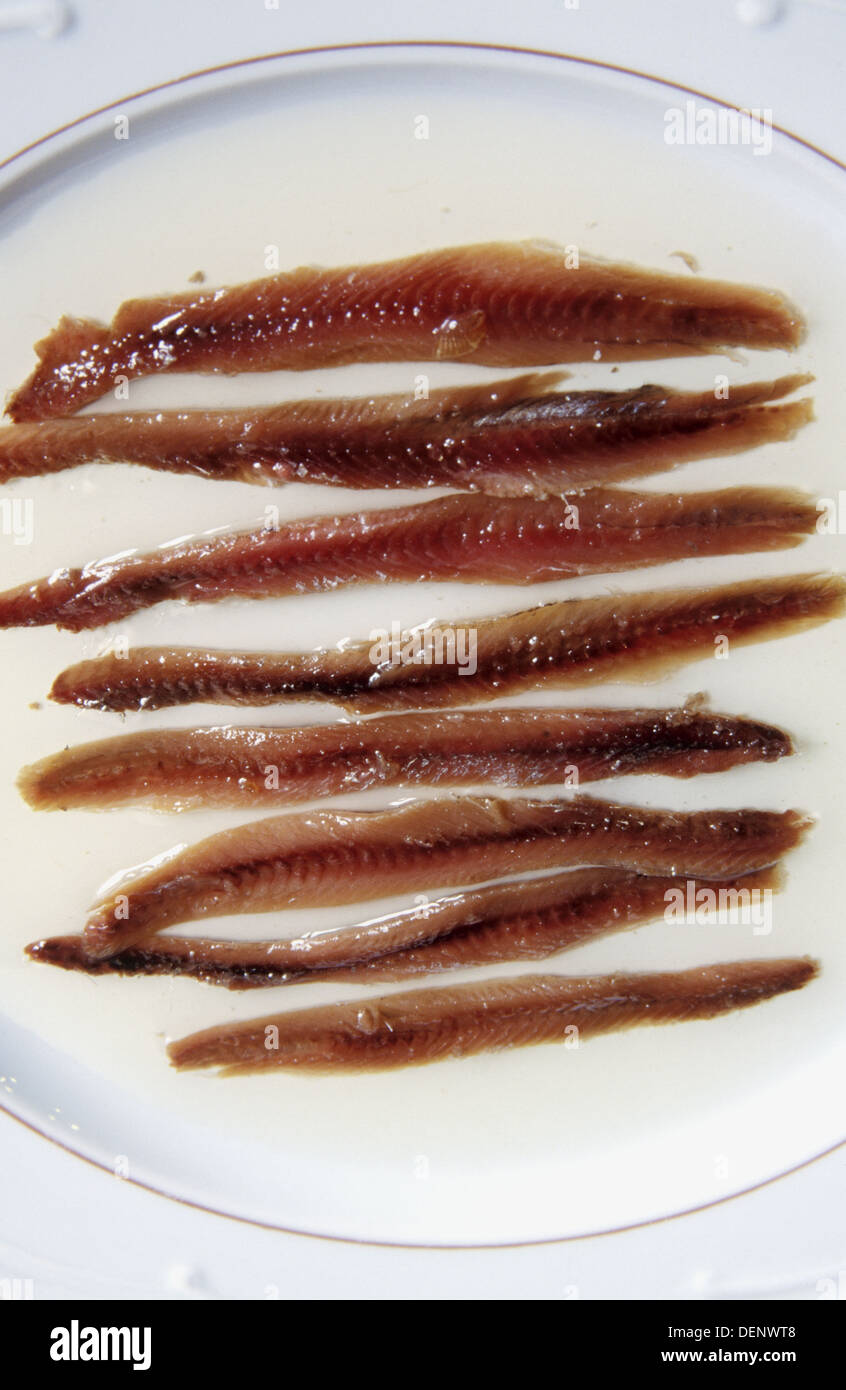 Anchovies of santona cantabria hires stock photography and images Alamy