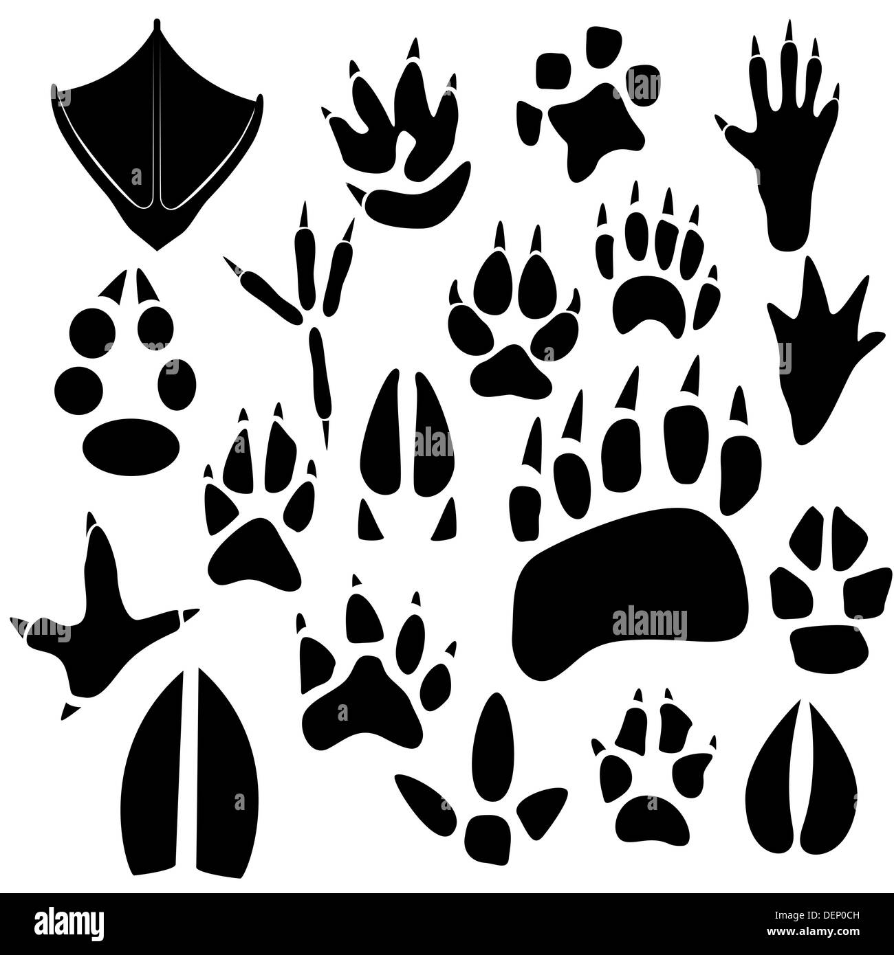 Footprints Of Birds And Animals. The Illustration On A White Background 