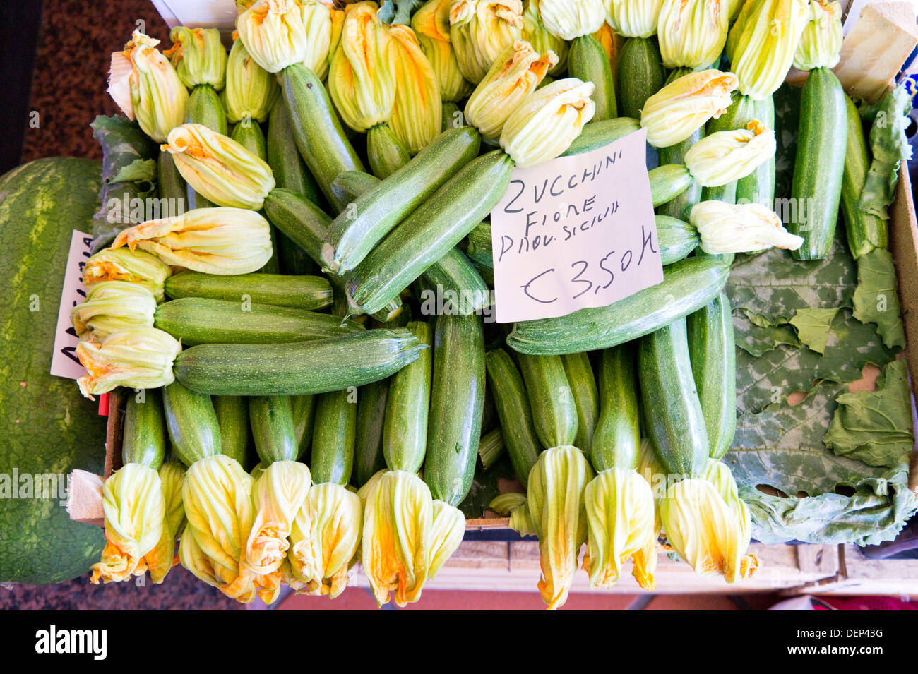 zucchini courgette flowers Italy Italian food Stock Photo Alamy