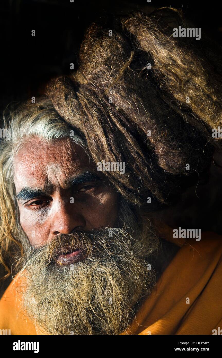 A Hindu sadhu with his long dreadlocks hair Stock Photo Alamy