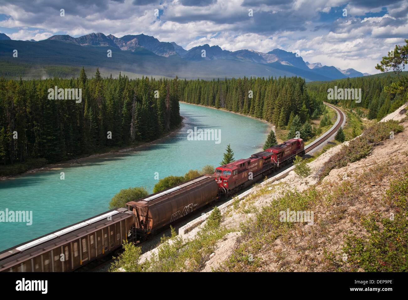 Train at Morant´s Curve in the Banff National Park, Alberta, Canada