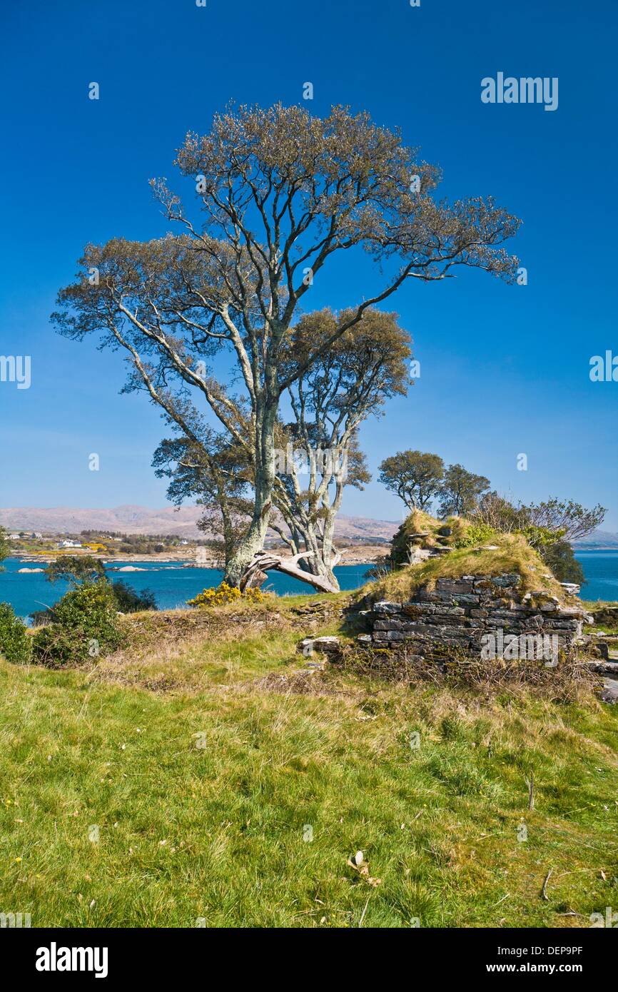 The remains of Dunboy castle on the Beara Peninsula, County Cork