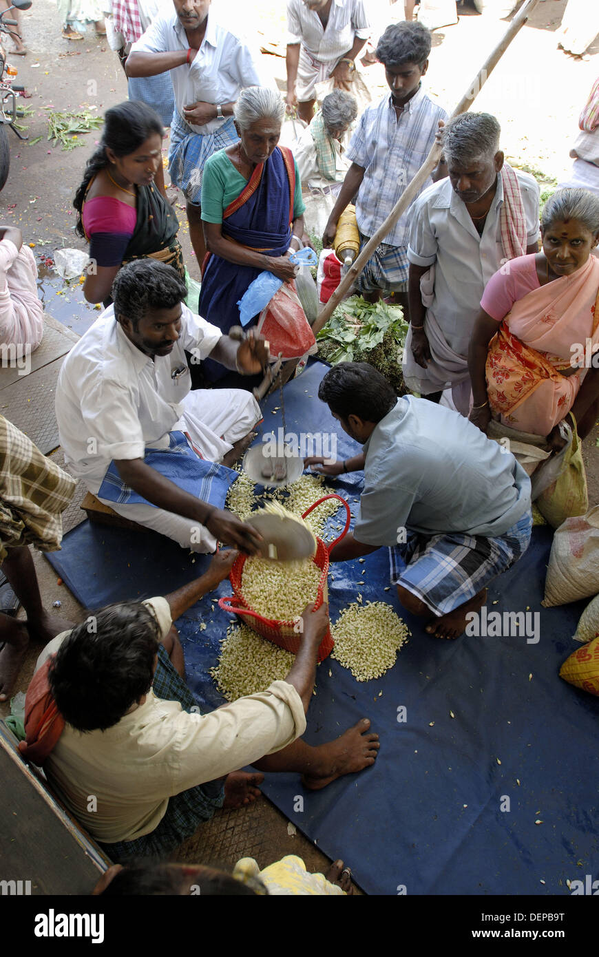Madurai is well known for its fragrant Jasmine flowers. Jasmine is