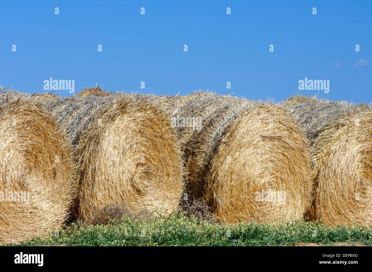 round bale of straw with blue and clear sky Stock Photo - Alamy