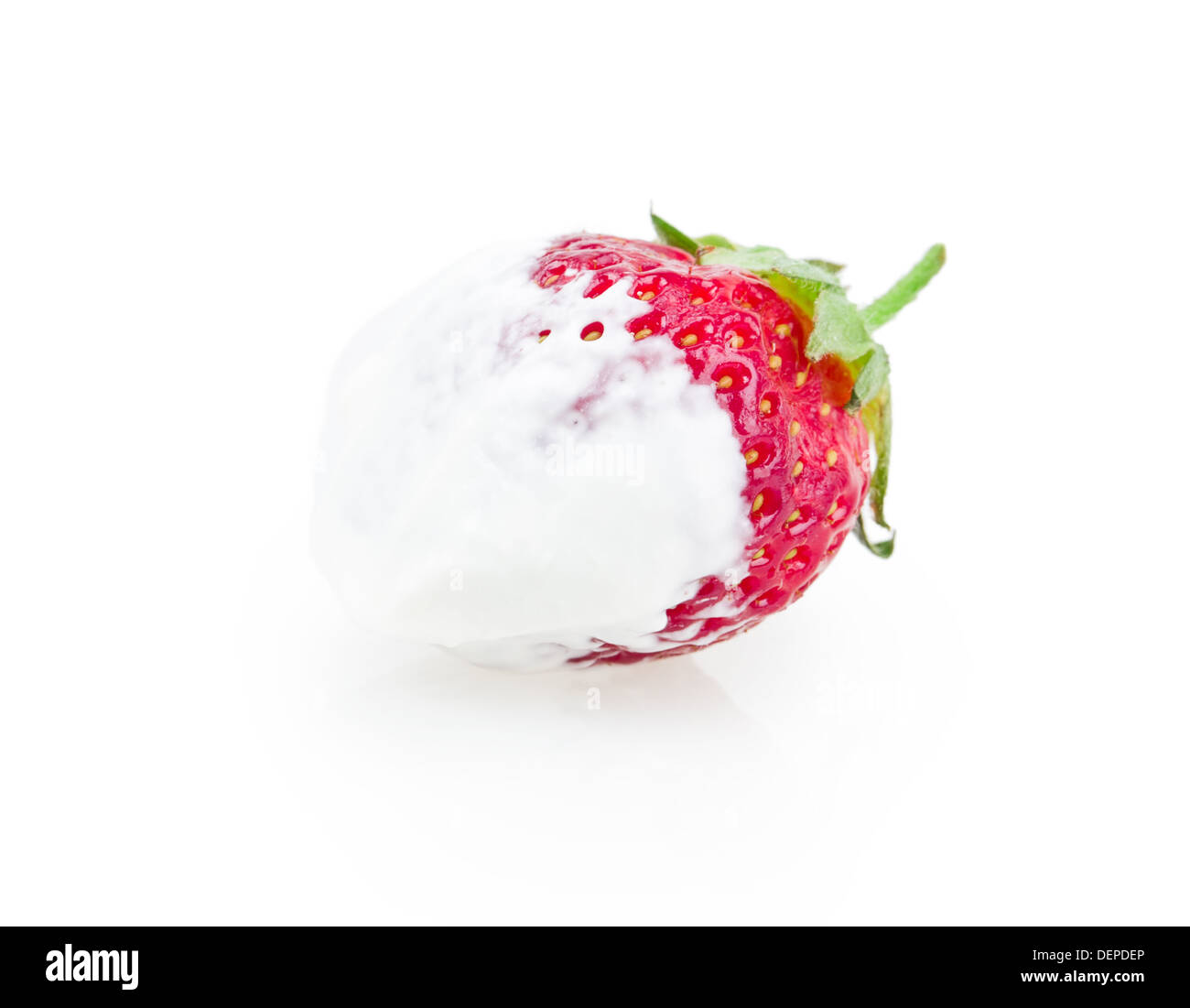 juicy ripe strawberries with leaves on a white background Stock Photo ...