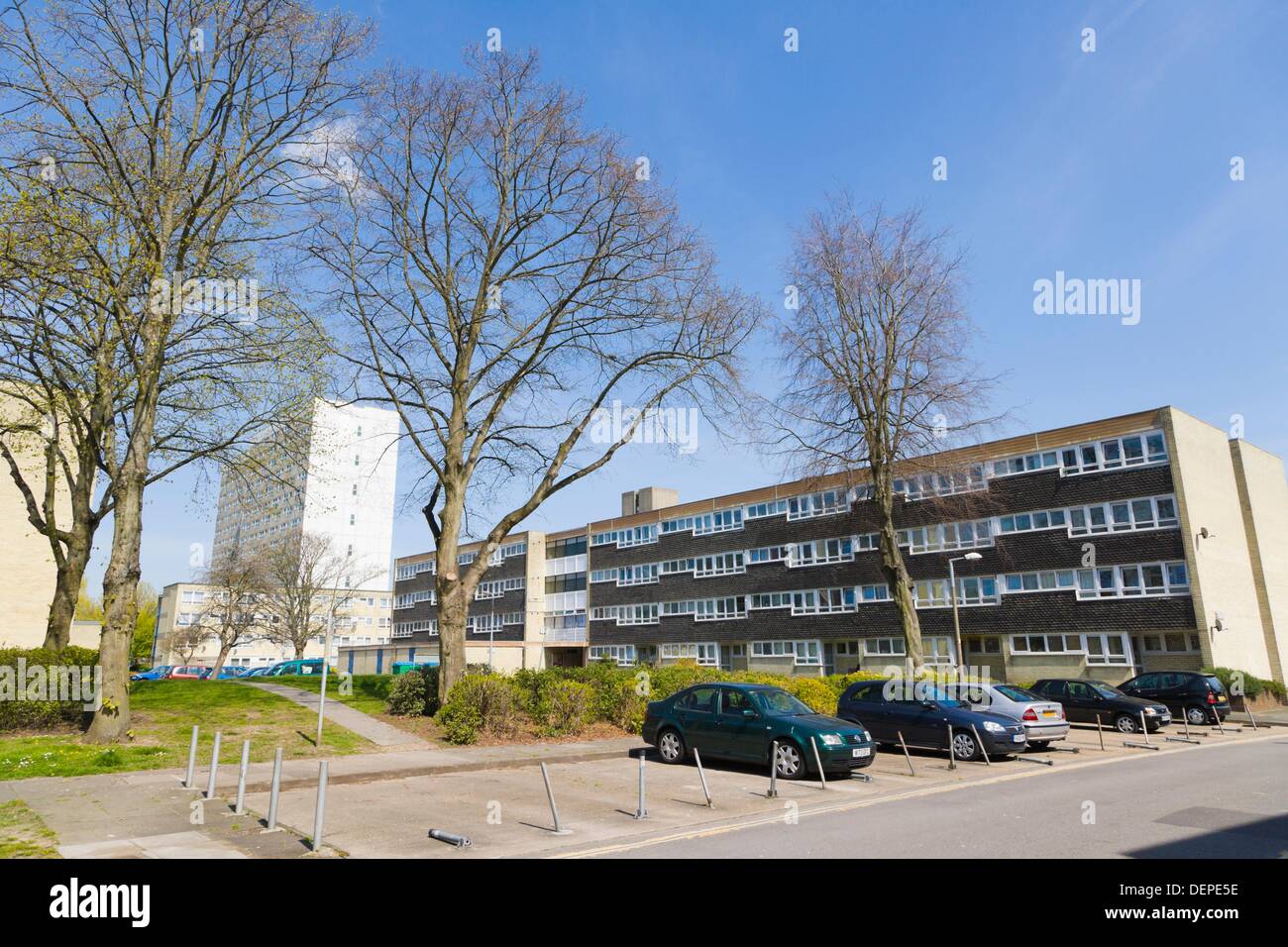 Council flat housing, James Street, Sheltered Housing Scheme