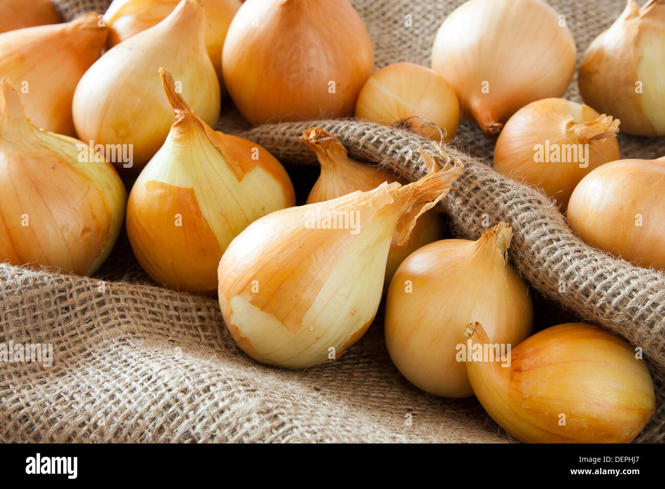 Onions in burlap sack. agriculture background Stock Photo
