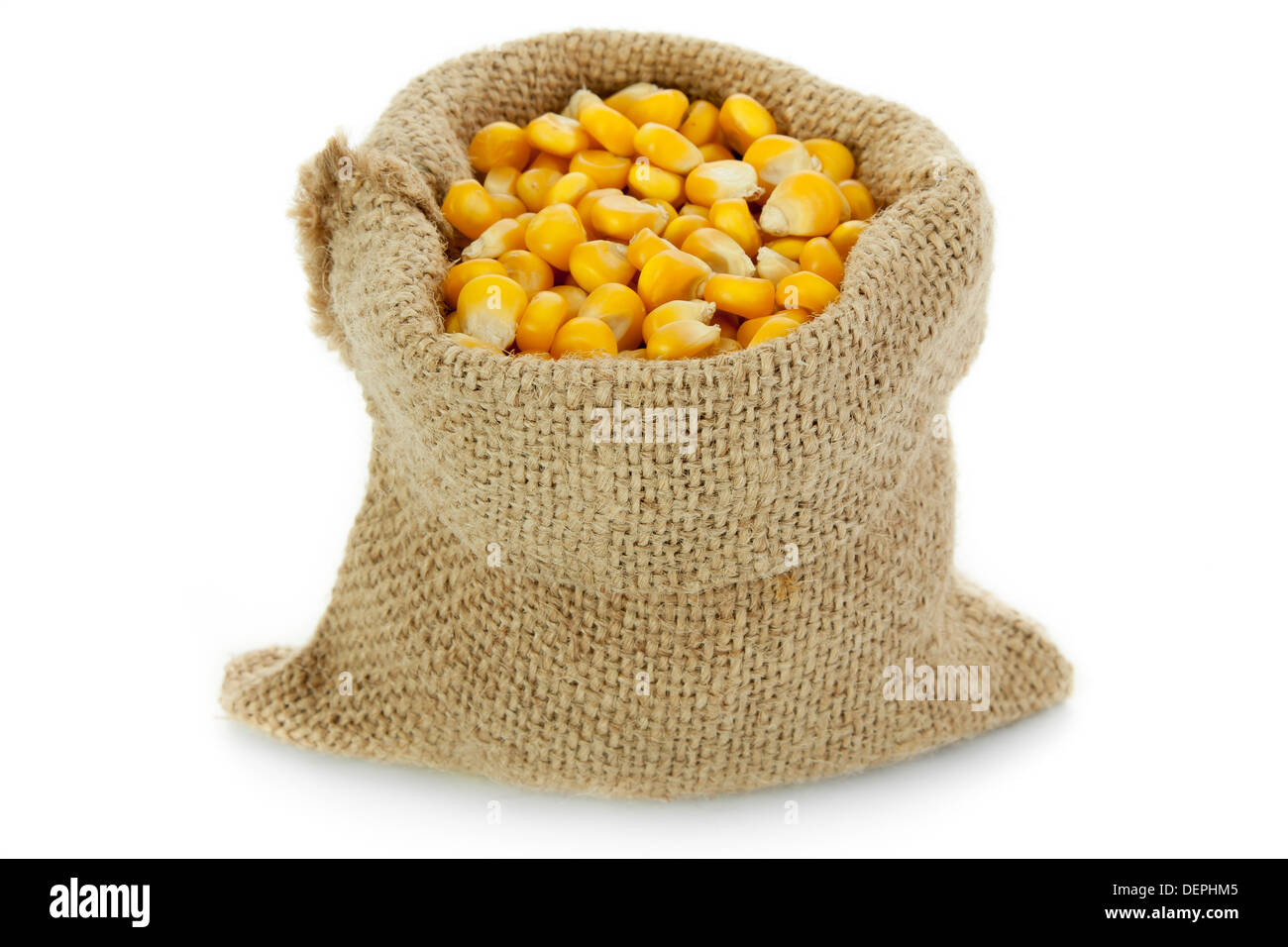 Corn in burlap sack against white background Stock Photo Alamy