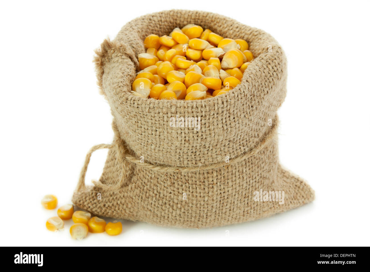 Corn in burlap sack against white background Stock Photo - Alamy