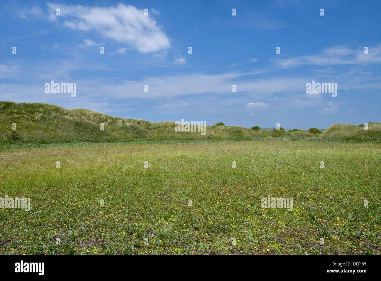Dune slacks at Kenfig Nature Reserve, South Wales Stock Photo - Alamy